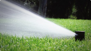 5 Ways To Be Smarter About Your Irrigation