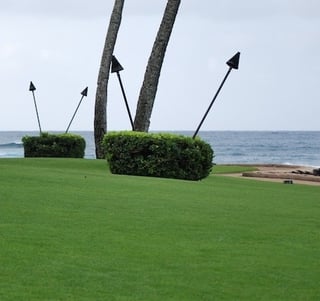 Some landscape contractors on Kauai do not include this cost because they want to outbid competing companies.