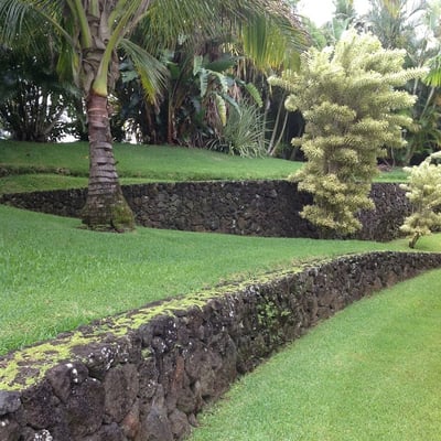 The warm-season grass type at Bali Hai is St. Augustine.
