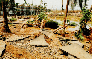 Commercial maintenance of trees throughout the year will protect them and your guests against hurricane damage Commercial maintenance of trees throughout the year will protect them and your guests against hurricane damage