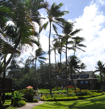 Kaha Lani's biggest landscaping issue comes from the property's windward location.