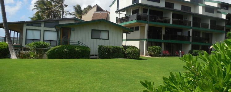 The warm-season grass type at Makahuena Resort s Seashore Paspalum. 