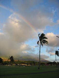 5 Ways To Keep Your Kauai Property’s Landscape Safe During Storms