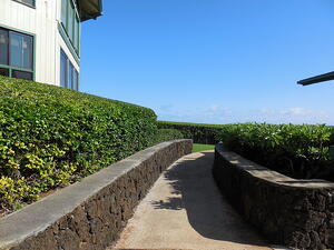 5 Signs That Your Kauai Landscape Needs A Facelift