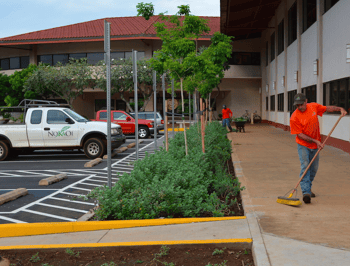 a strong request for proposal process will helps in comparing landscape contractors