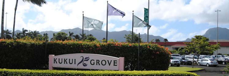 Kukui Grove Center is the Island of Kauai’s largest retail center and only regional mall.