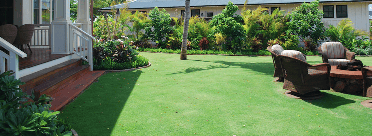 a sustainable lawn is one of the top commercial landscaping trends on Kauai in 2016