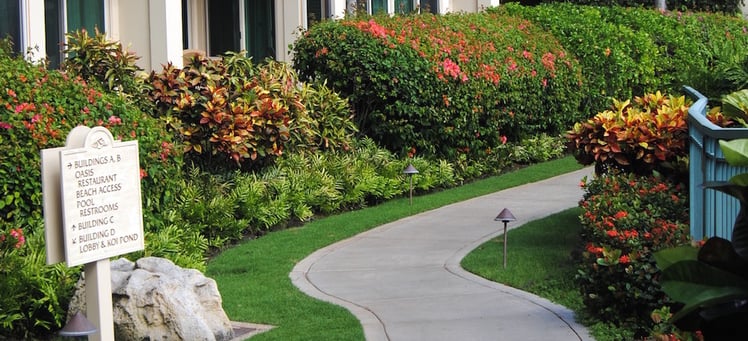 Commercial landscaping isn't a static investment and to keep it looking its best, upgrades and continued maintenance are essential.
