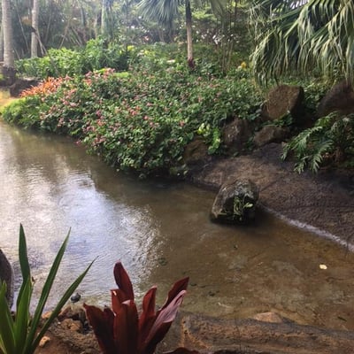 Pond and landscaping at Keoki's Paradise