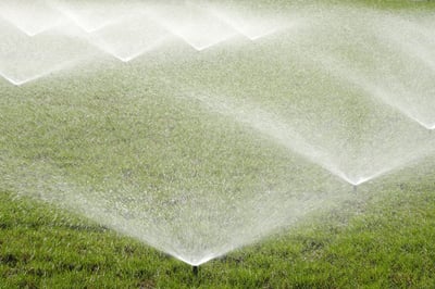irrigating grass