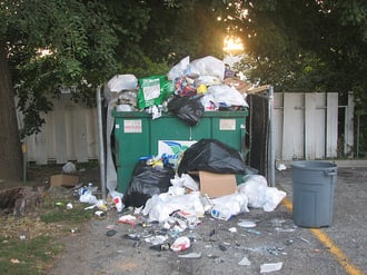 dumpster enclosures are often a neglected area on commercial properties