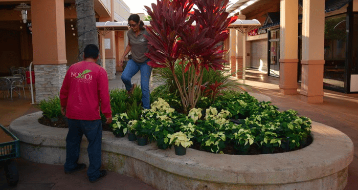 low retaining walls are a site amenity that can serve as a landscape bench