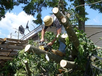 ask your landscape contractor for proof of insurance