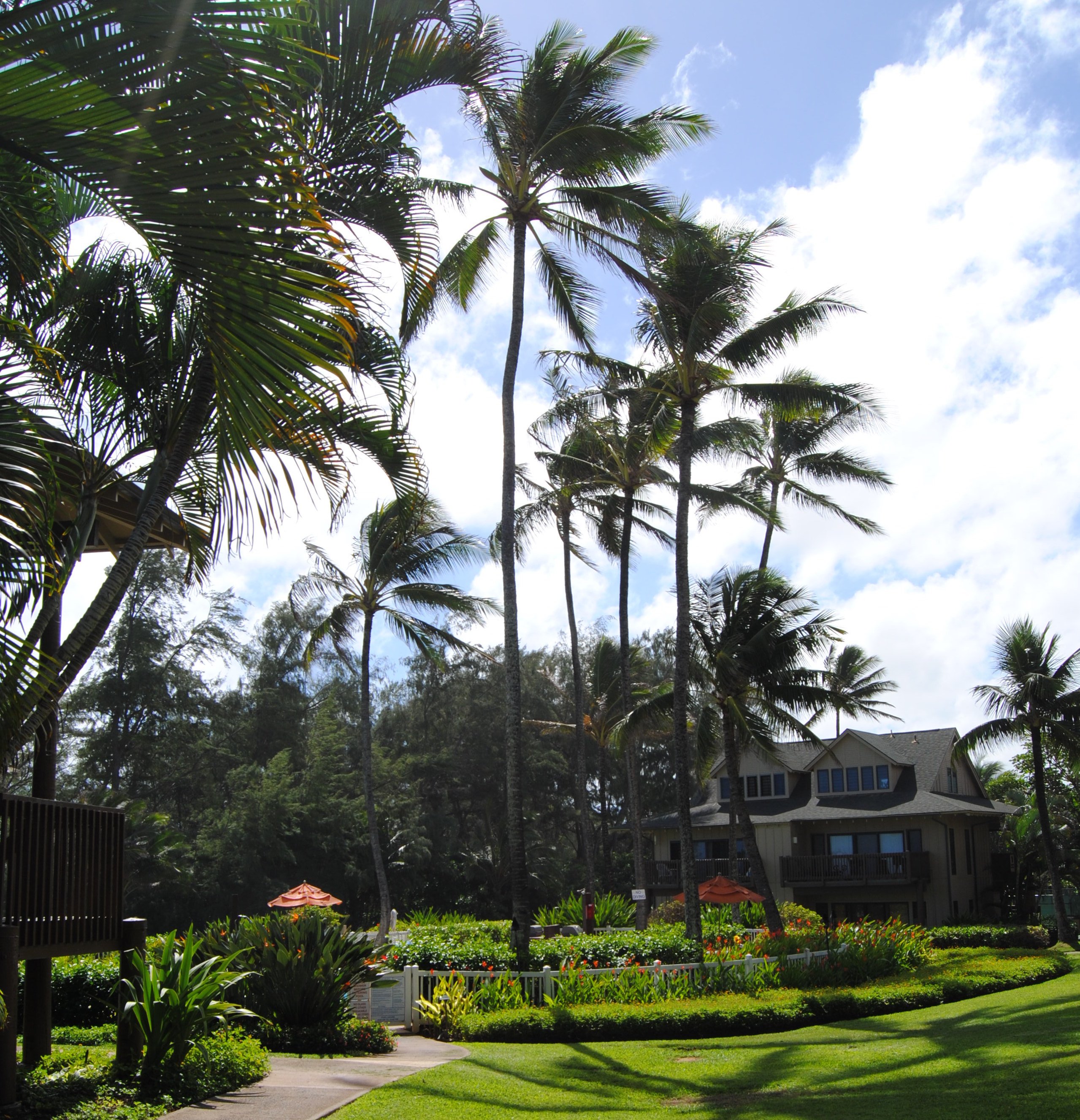 Kaha Lani Resort — Preserving The Beauty Of A Windward Resort