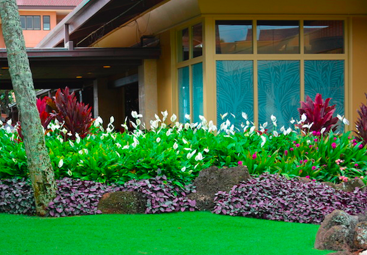 Katie Brenner, Hotel Manager, Sheraton Kauai Resort